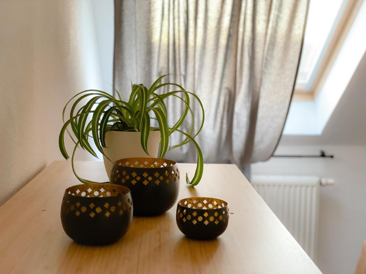 Ferienwohnung Hintermoos Kißlegg 외부 사진
