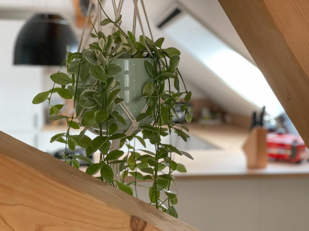 Ferienwohnung Hintermoos Kißlegg 외부 사진